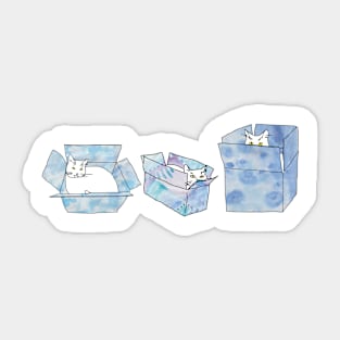 Three cats sitting in blue boxes! Sticker